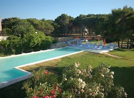Oasis Park Hotel توري ديل أورسو المظهر الخارجي الصورة